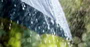 দেশের বিভিন্ন এলাকায় বৃষ্টি ও বজ্রসহ বৃষ্টির পূর্বাভাস