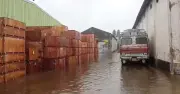 বেনাপোল বন্দরে টানা বৃষ্টিতে জলাবদ্ধতা, কোটি টাকার মালামাল নষ্টের শঙ্কা