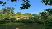 বর্ষায় শ্রীমঙ্গলের শান্তিবাড়ি ইকো রিসোর্টে বৃষ্টিবিলাসের অভিজ্ঞতা