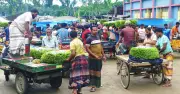 রাজশাহীর জিআই পানের উৎপাদন বেড়েছে, দাম কমেছে