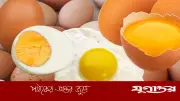 কাঁচা না সেদ্ধ ডিম: স্বাস্থ্যের জন্য কোনটি ভালো?