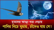 মৃতদের আত্মা বয়ে বেড়ায়, পানির নিচে ঘুমায়, চাঁদেও যায় সে!