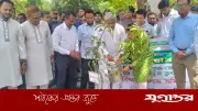 শুধু গাছ লাগালে হবে না, যথাযথ পরিচর্যাও করতে হবে: প্রতিমন্ত্রী অমিত