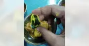 চট্টগ্রাম বিশ্ববিদ্যালয়ের হলে খাবারে স্টিকারযুক্ত নারীর ছবি, তদন্তের দাবি