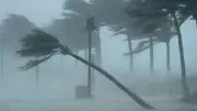 বাংলাদেশের শীর্ষ খবর: বৃত্তি পরীক্ষার ফল, পাহাড়ধসে ২২ মৃত্যু, সংবিধানে গণভোট ফেরত