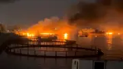 যুক্তরাষ্ট্রের টানা দ্বিতীয় রাতে ইরানে হামলা, ১৪ জন নিহত